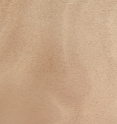 AGGLOMERE OKOUME AB 19 MM 250 X 124