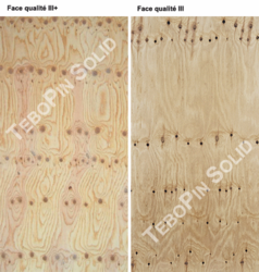 CP PIN SOLID CTBX 09 250 X 125 FACES III+ PONCE / III