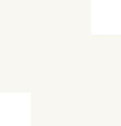 MELA CLOISON BLANC 12MM GRAINE 250 X 125 020/020 TST