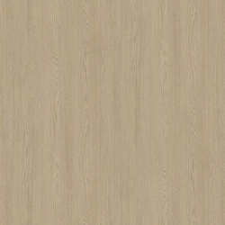 CHANT ABS CHENE PUR R20383 NW