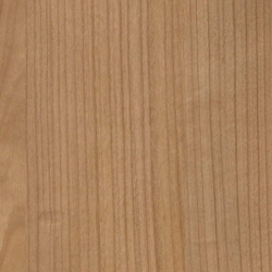 CHANT ABS CERISIER HAVANNA R42006 1M ML