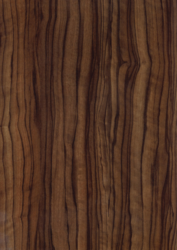 STRAT OLIVIER ESPAGNE FONCE R50031 ML **  SOLDE 2025 : NOUS CONSULTER  **