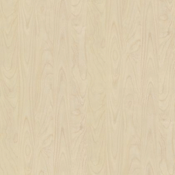 STRAT PIN MARITIME R55064 FL 280x207 FINITION FL