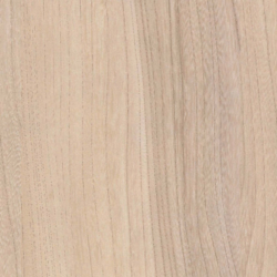 STRAT ORME BARON R37001 ML **  SOLDE 2025 : NOUS CONSULTER  **