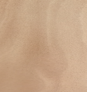 CP MARINE TOUT OKOUME B/BB 09MM 250 COLLAGE MARINE EXT