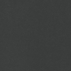 CHANT ABS FERRO NOIR F79934 CE