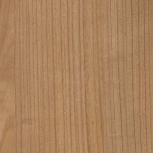 CHANT ABS CERISIER HAVANNA R42006 1M ML