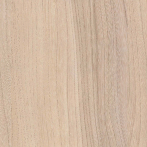 STRAT ORME BARON R37001 ML **  SOLDE 2025 : NOUS CONSULTER  **