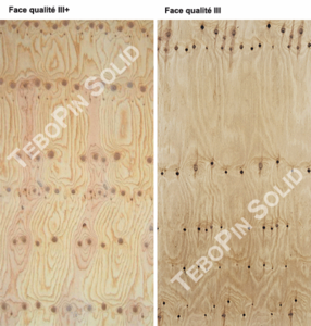 CP PIN SOLID CTBX 25 250 X 125 FACES III+ PONCE / III CTBX STRUCTURE NF