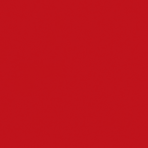 CHANT ABS ROUGE CARMIN U17005 1MM HG