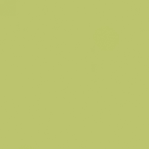 STRAT CARAMBOLA U19500 VV **  SOLDE 2025 : NOUS CONSULTER  **